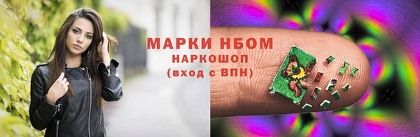 сатива Надым