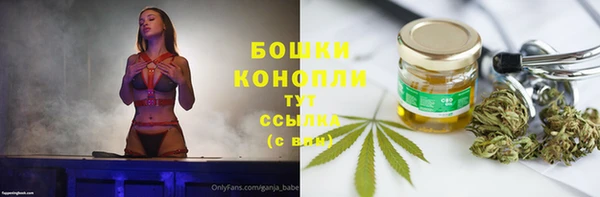дурь Нея
