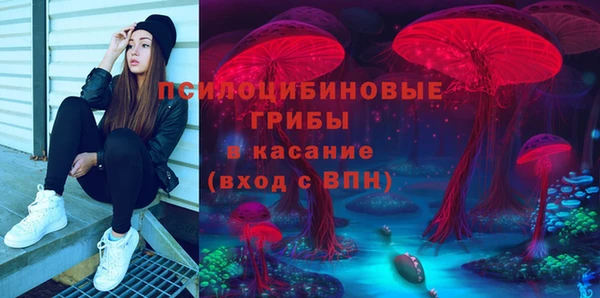 дурь Нея