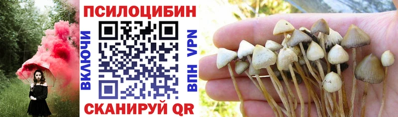 Псилоцибиновые грибы Psilocybine cubensis  купить наркотики цена  Киселёвск 