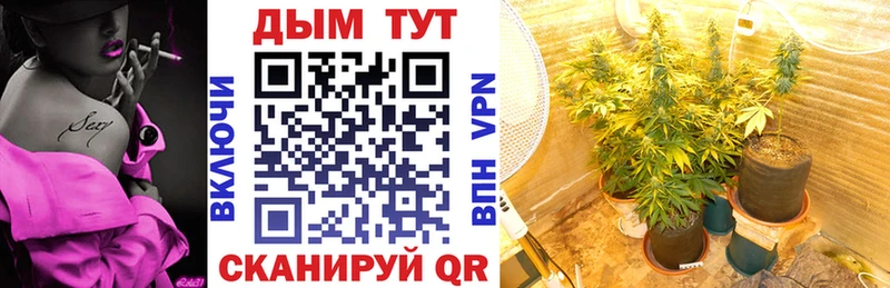 Бошки марихуана AK-47  Киселёвск 